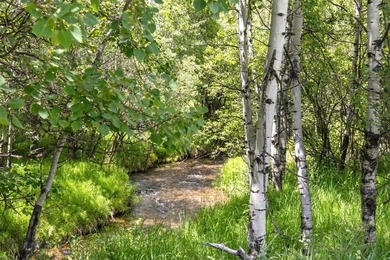 Nestled in the highly sought-after SpringHill Community, this - photo 13