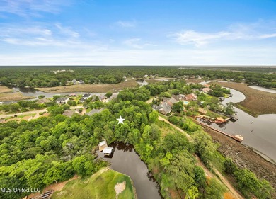 Welcome to Bayou Sauvolle, one of the most desirable and - photo 5
