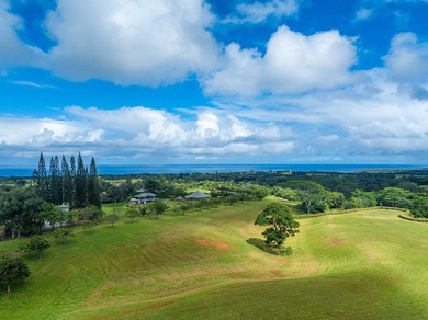 Unit 2 of Keala Ranch is a unique real estate experience on the - photo 6