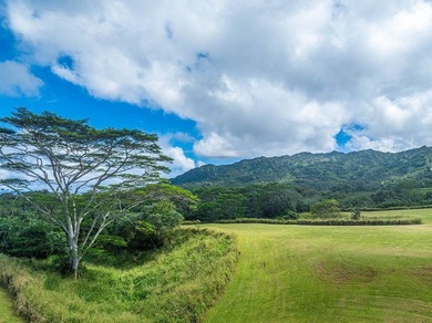 Unit 2 of Keala Ranch is a unique real estate experience on the - photo 9