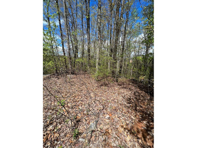 Large lot with great building site and beautiful views of the - photo 4