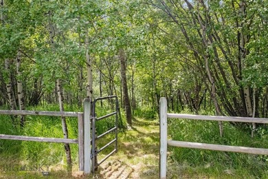 Nestled in the highly sought-after SpringHill Community, this - photo 35