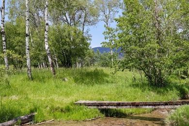 Nestled in the highly sought-after SpringHill Community, this - photo 37
