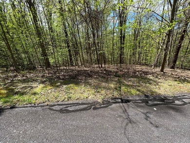 Large lot with great building site and beautiful views of the - photo 7