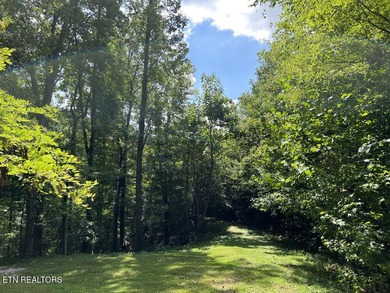 Welcome to your own Enchanted Forest on Norris Lake! You'll find - photo 16