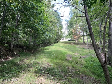 Welcome to your own Enchanted Forest on Norris Lake! You'll find - photo 17