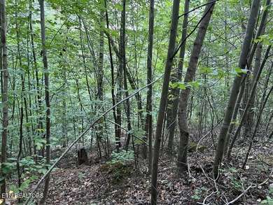 Welcome to your own Enchanted Forest on Norris Lake! You'll find - photo 18