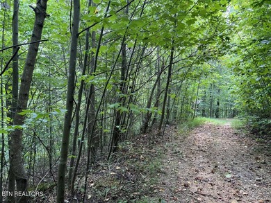 Welcome to your own Enchanted Forest on Norris Lake! You'll find - photo 19