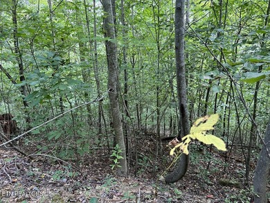 Welcome to your own Enchanted Forest on Norris Lake! You'll find - photo 20