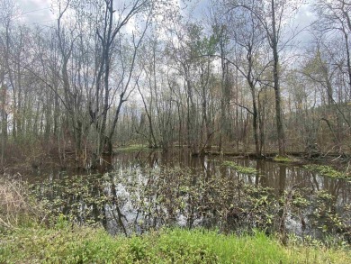 (private lake, pond, creek) Acreage For Sale in Brinkley Arkansas