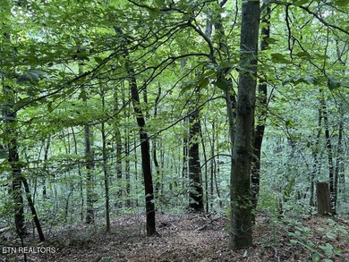 Welcome to your own Enchanted Forest on Norris Lake! You'll find - photo 21