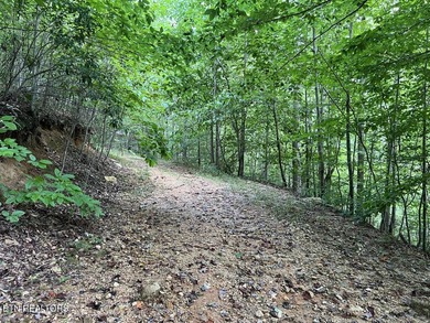 Welcome to your own Enchanted Forest on Norris Lake! You'll find - photo 22
