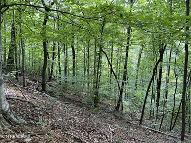 Welcome to your own Enchanted Forest on Norris Lake! You'll find - photo 23