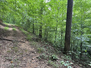 Welcome to your own Enchanted Forest on Norris Lake! You'll find - photo 24