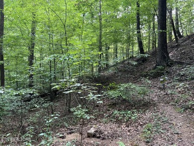 Welcome to your own Enchanted Forest on Norris Lake! You'll find - photo 25