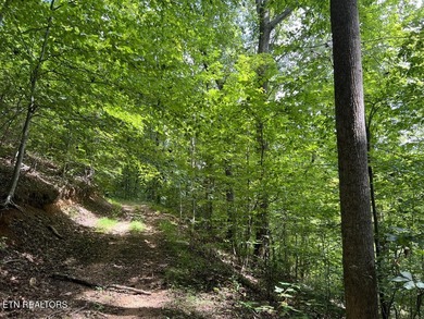 Welcome to your own Enchanted Forest on Norris Lake! You'll find - photo 26