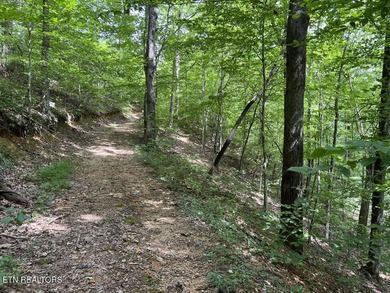 Welcome to your own Enchanted Forest on Norris Lake! You'll find - photo 27
