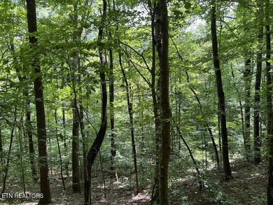 Welcome to your own Enchanted Forest on Norris Lake! You'll find - photo 28