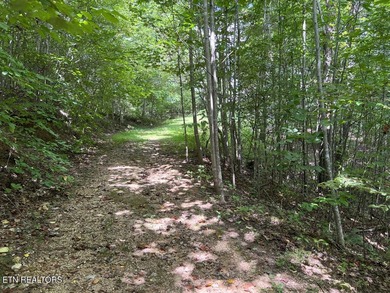 Welcome to your own Enchanted Forest on Norris Lake! You'll find - photo 29