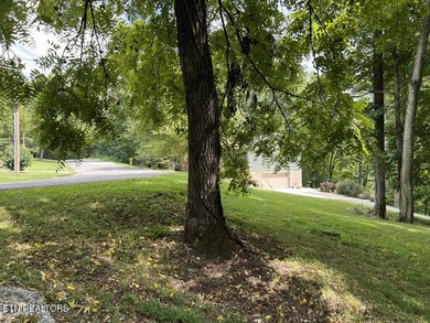 Welcome to your own Enchanted Forest on Norris Lake! You'll find - photo 30