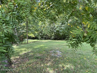 Welcome to your own Enchanted Forest on Norris Lake! You'll find - photo 31