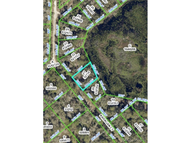 Withlacoochee River Lot Sale Pending in Webster Florida