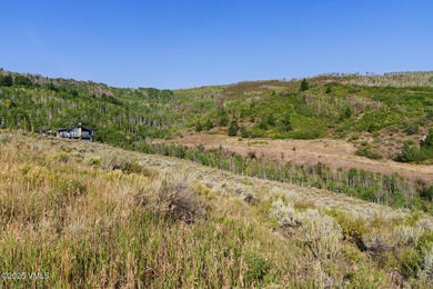 Build Your Dream Mountain Retreat in Cordillera! This desirable