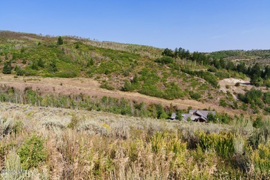 Build Your Dream Mountain Retreat in Cordillera! This desirable