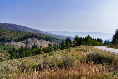 Build Your Dream Mountain Retreat in Cordillera! This desirable