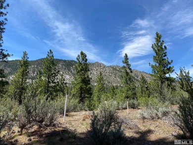 Lake Tahoe - Douglas County Lot For Sale in Carson City Nevada