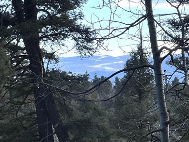 Monte Verde Lake Lot For Sale in Angel Fire New Mexico