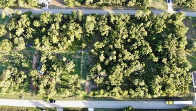 Build your dream home on this partially cleared lot in beautiful - photo 3