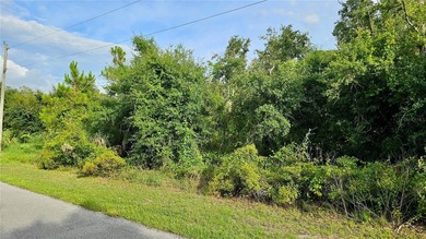 Build your dream home on this partially cleared lot in beautiful - photo 4