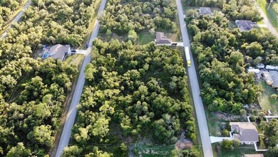 Build your dream home on this partially cleared lot in beautiful - photo 7