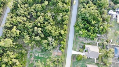 Build your dream home on this partially cleared lot in beautiful - photo 9