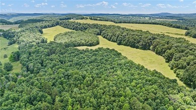 (private lake, pond, creek) Commercial For Sale in Leslie Arkansas