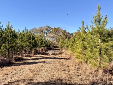 Located between Goodway and Frisco City, this contiguous tract - photo 11