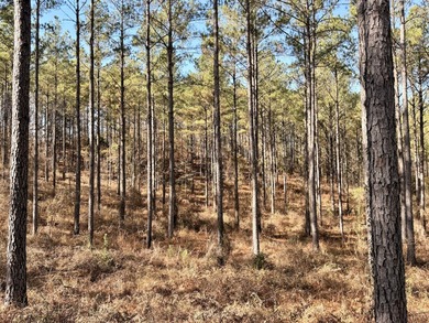 Located between Goodway and Frisco City, this contiguous tract - photo 12