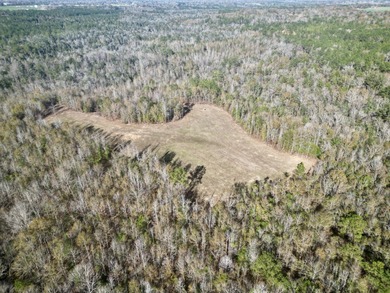 Located between Goodway and Frisco City, this contiguous tract - photo 13