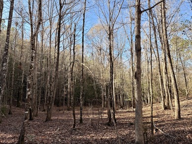 Located between Goodway and Frisco City, this contiguous tract - photo 14