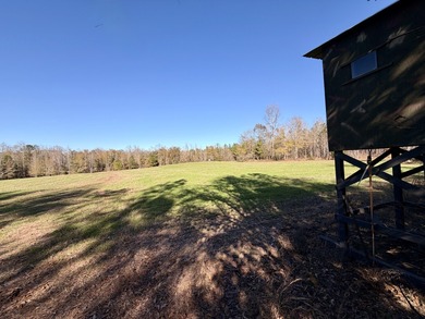 Located between Goodway and Frisco City, this contiguous tract - photo 16