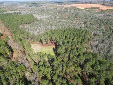 Located between Goodway and Frisco City, this contiguous tract - photo 17