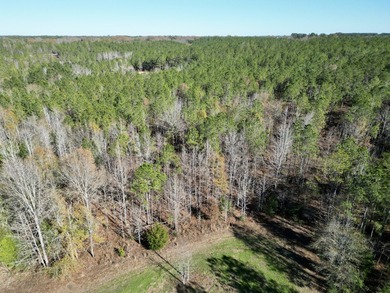 Located between Goodway and Frisco City, this contiguous tract - photo 18
