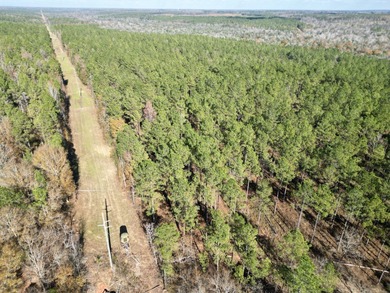 Located between Goodway and Frisco City, this contiguous tract - photo 19