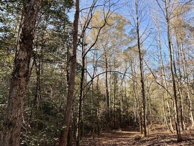 Located between Goodway and Frisco City, this contiguous tract - photo 20