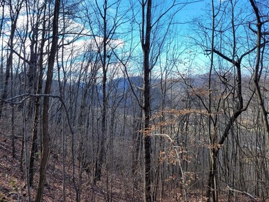 Hiwassee River - Clay County Acreage For Sale in Hayesville North Carolina