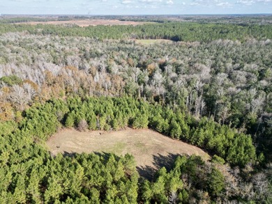 Located between Goodway and Frisco City, this contiguous tract - photo 21