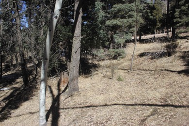 Monte Verde Lake Lot For Sale in Angel Fire New Mexico