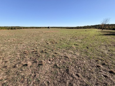 Located between Goodway and Frisco City, this contiguous tract - photo 22