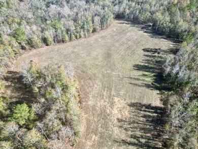 Located between Goodway and Frisco City, this contiguous tract - photo 24